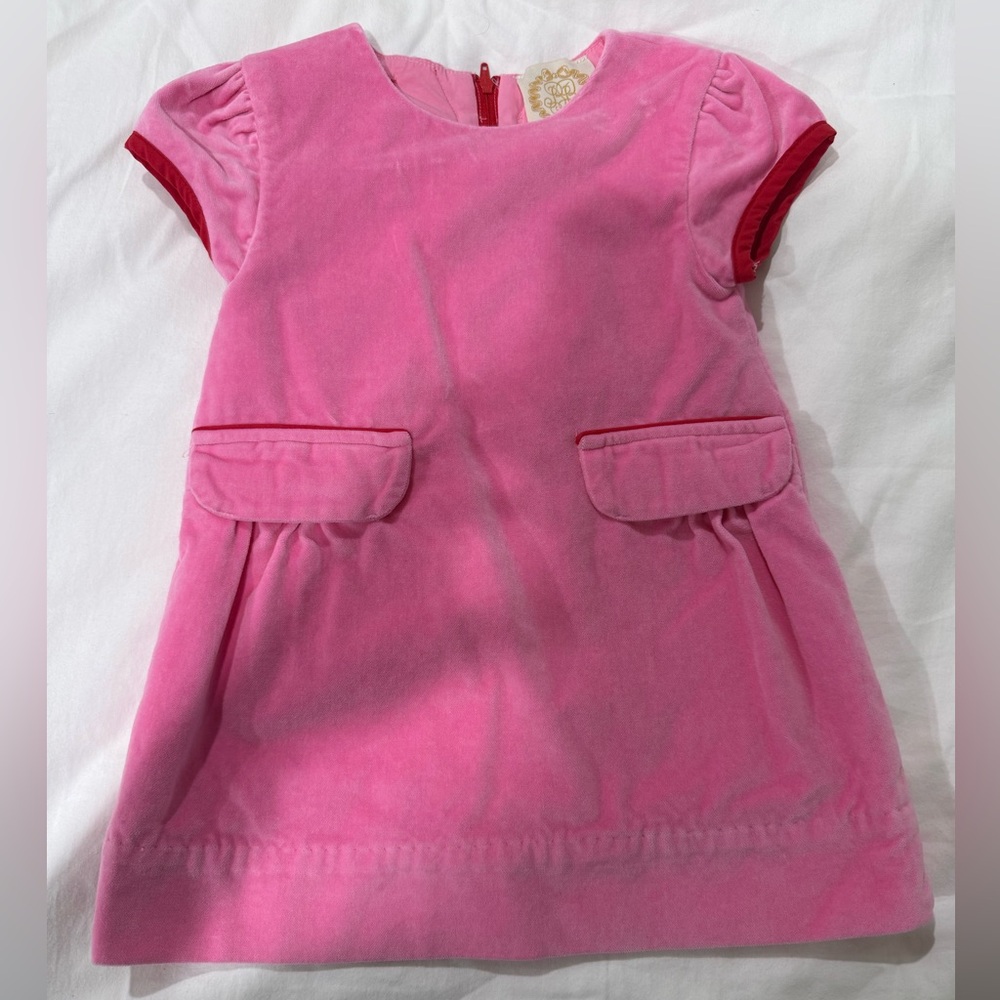 The Beaufort Bonnet Company Pink Velvet Dress 2T